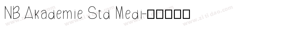 NB Akademie Std Medi字体转换